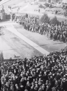 Triangle Photo with Crowd