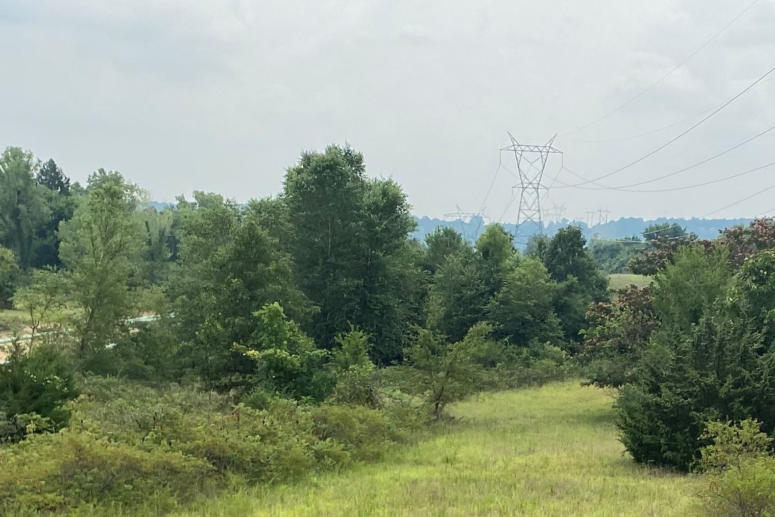 Country Meadows Natural Area Park 2 (2)